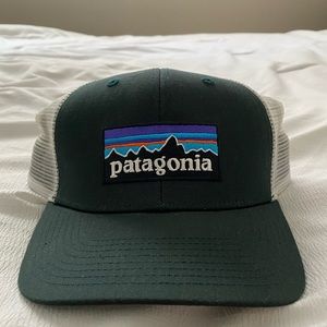 Patagonia Trucker Hat